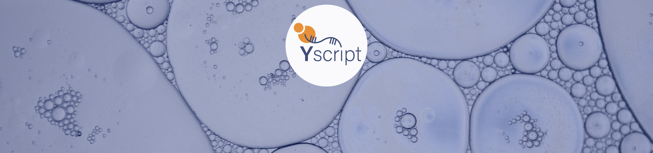 Engineering yeast for mRNA production: EURICE is partner of new European Innovation Council Pathfinder project Yscript