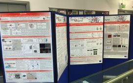 SynSignal Poster Presentation during the Final Meeting