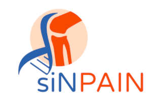Sinpain logo fin